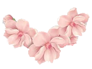 صابون حمام شکوه صورتی