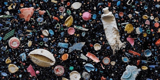 Cosmetic-Pollutants 