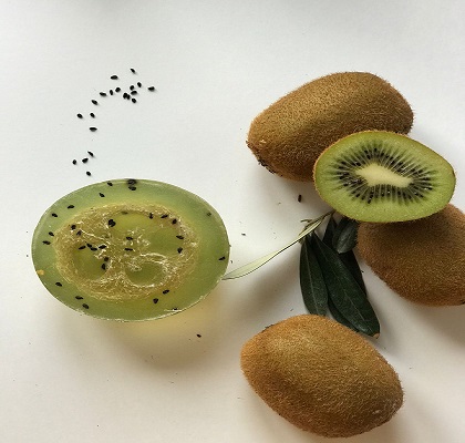 صابون طبیعی